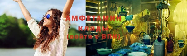 индика Ладушкин