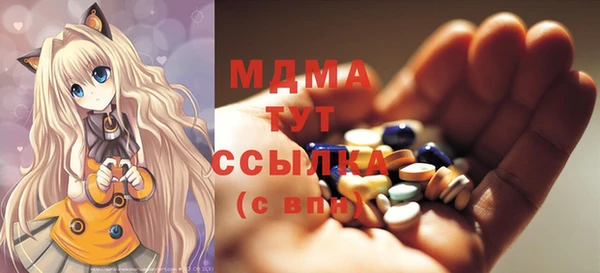 индика Ладушкин