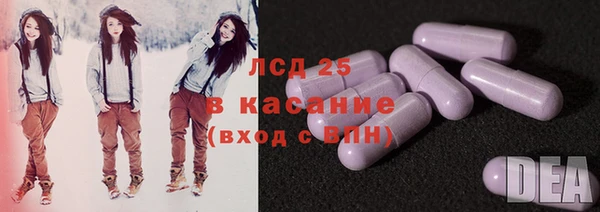 индика Ладушкин