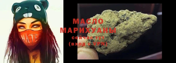 индика Ладушкин