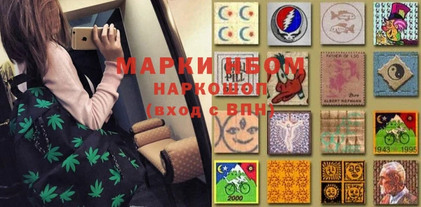 индика Ладушкин