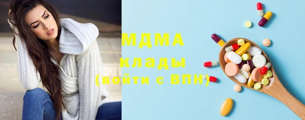индика Ладушкин