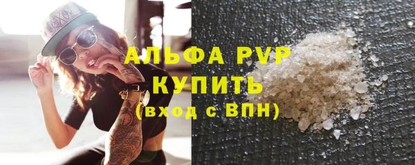 индика Ладушкин