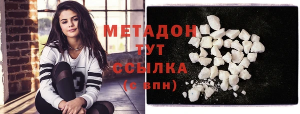 индика Ладушкин
