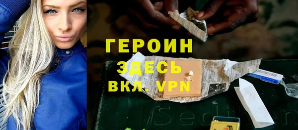 индика Ладушкин
