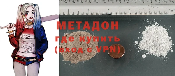 индика Ладушкин