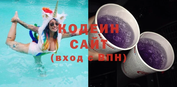 индика Ладушкин